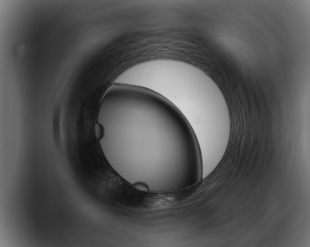 X0000088630239200705250904