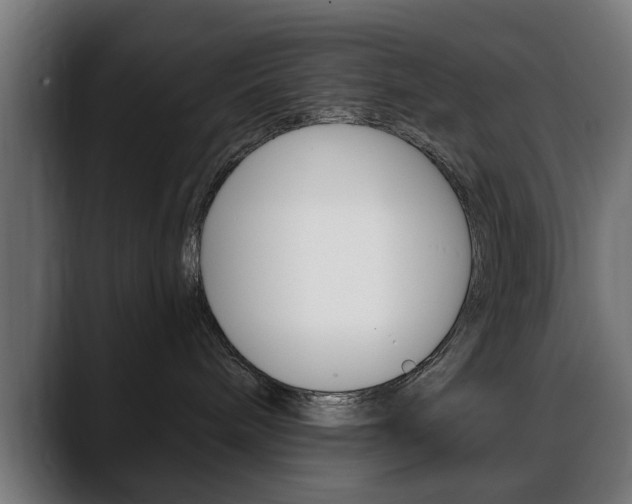 X0000088630240200705250904