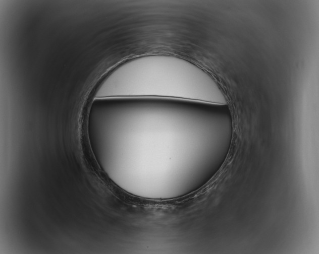 X0000088630242200705250904