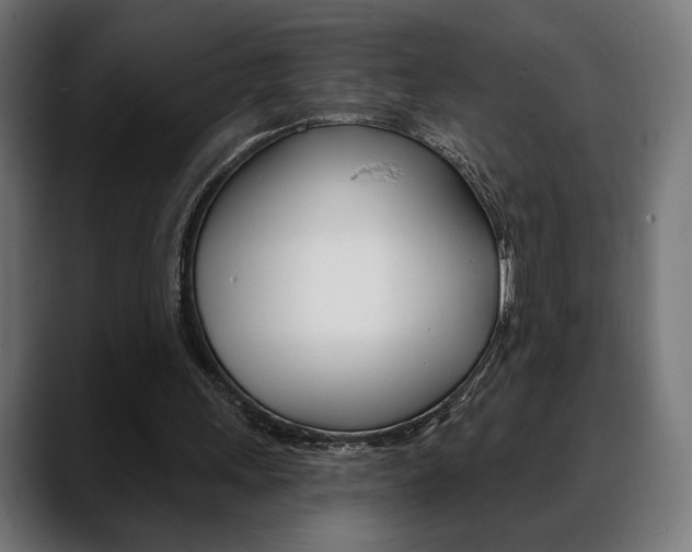 X0000088630243200705250904