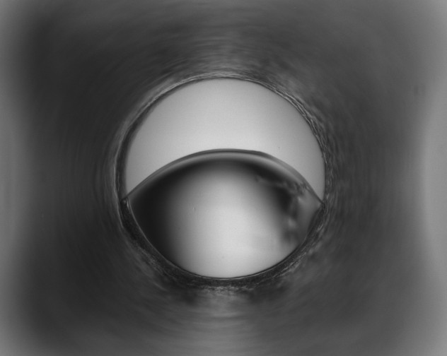 X0000088630244200705250904