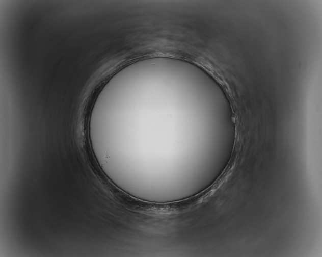 X0000088630245200705250904