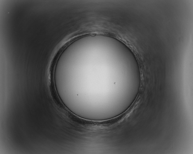 X0000088630246200705250904