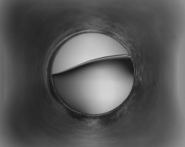 X0000088630247200705250904