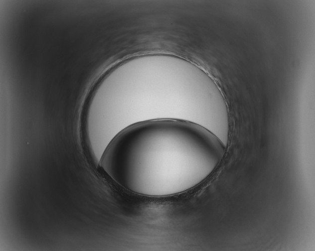 X0000088630248200705250904