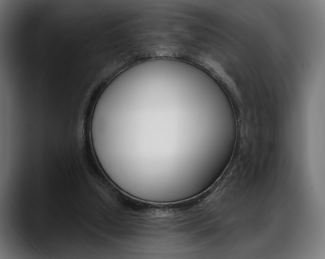 X0000088630250200705250904