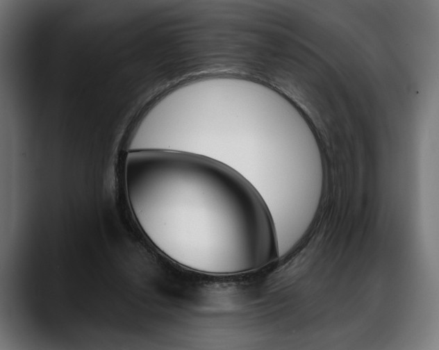 X0000088630252200705250904