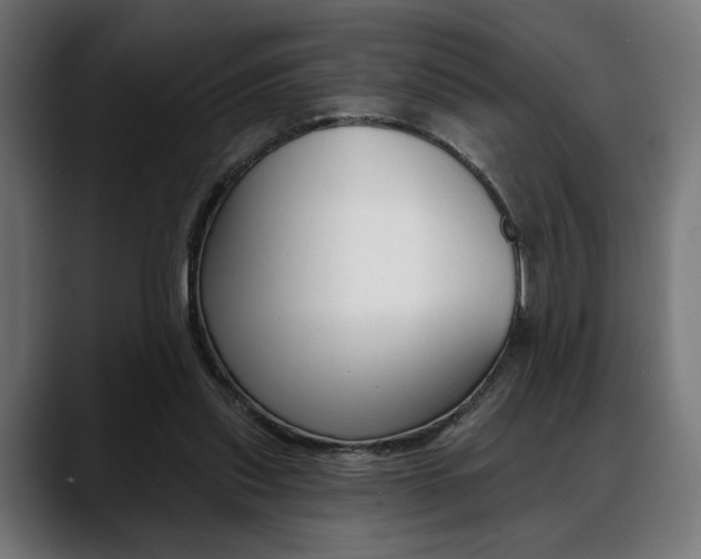X0000088630253200705250904