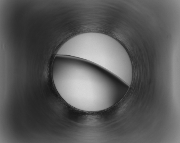 X0000088630255200705250904