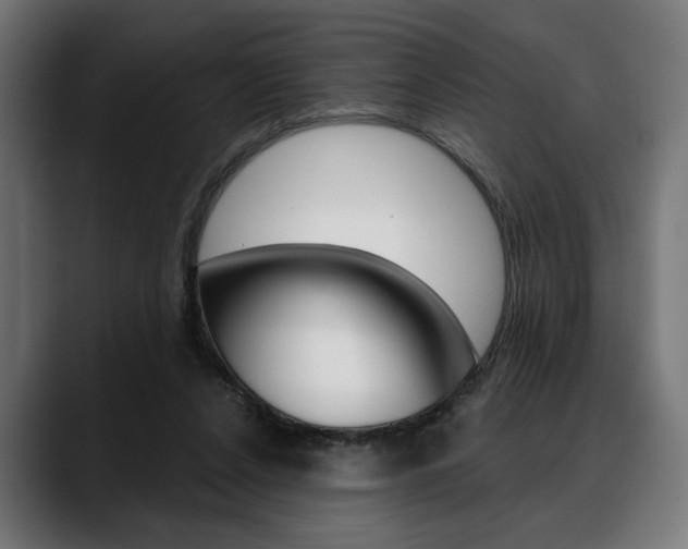 X0000088630256200705250904