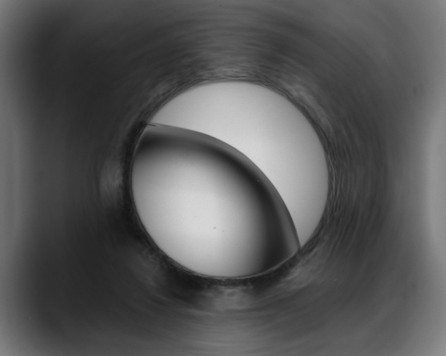 X0000088630260200705250904