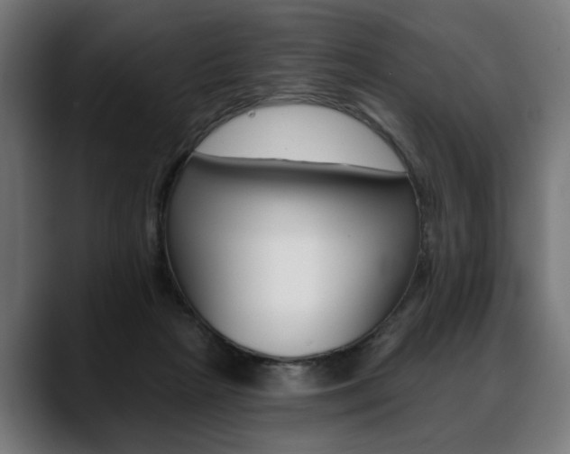 X0000088630265200705250904