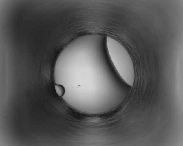 X0000088630266200705250904