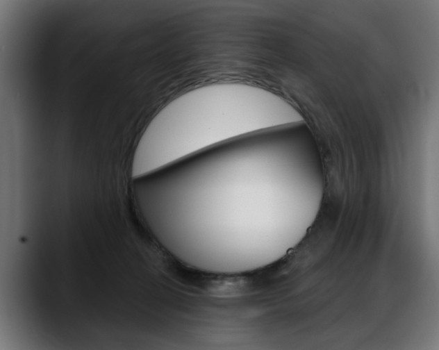 X0000088630274200705250904