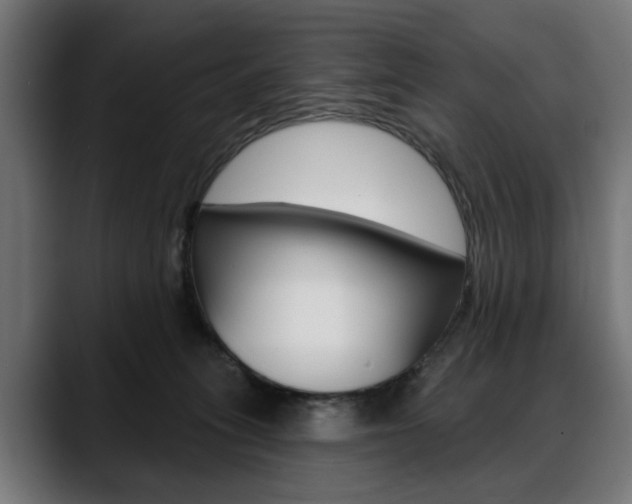 X0000088630275200705250904