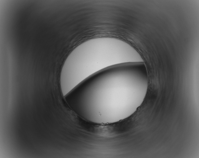 X0000088630277200705250904