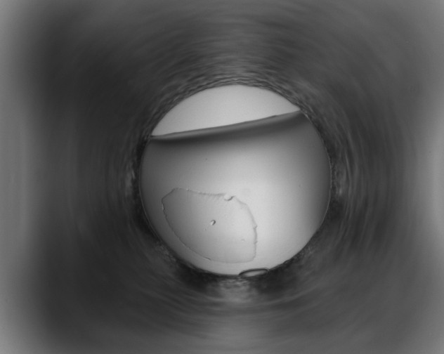 X0000088630279200705250904
