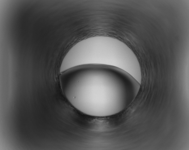 X0000088630280200705250904