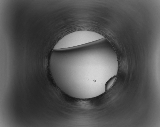 X0000088630283200705250904