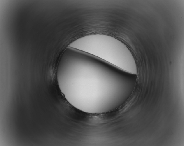 X0000088630285200705250904
