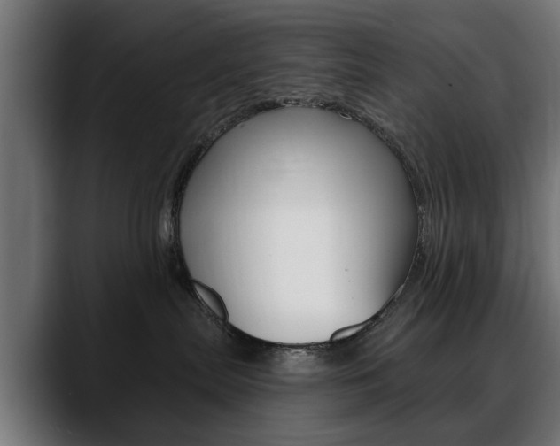 X0000088630287200705250904