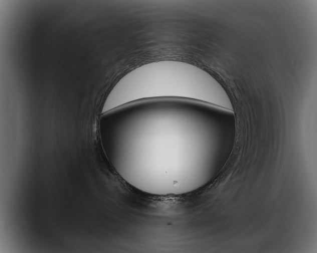 X0000088630288200705250904