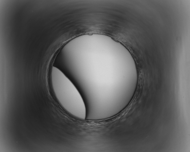 X0000088630290200705250904