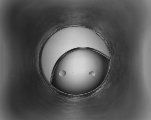 X0000088630293200705250904