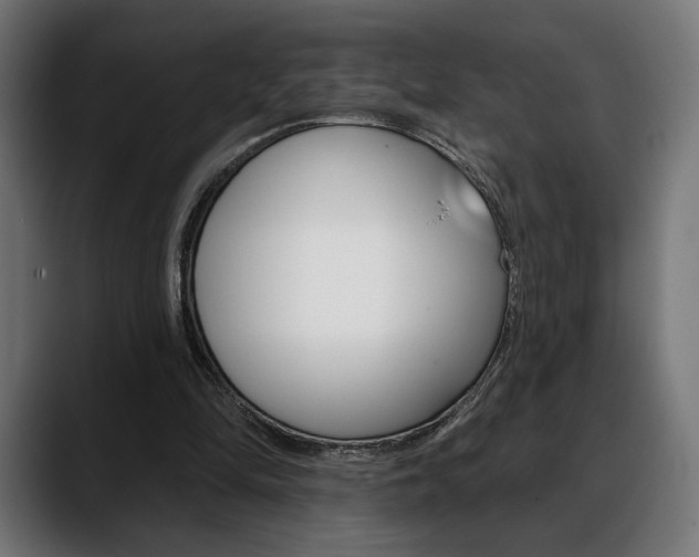 X0000088630294200705250904