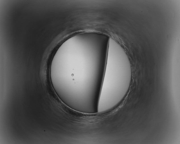 X0000088630295200705250904