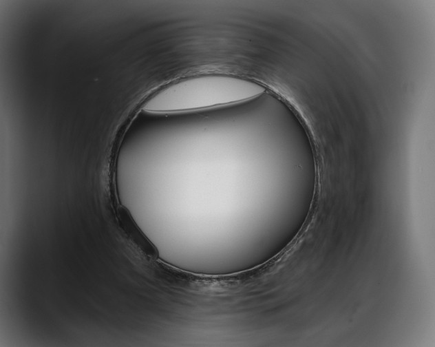 X0000088630297200705250904