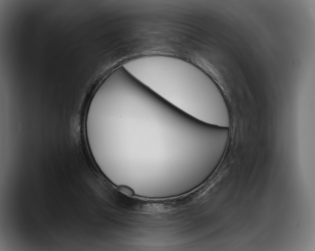 X0000088630298200705250904