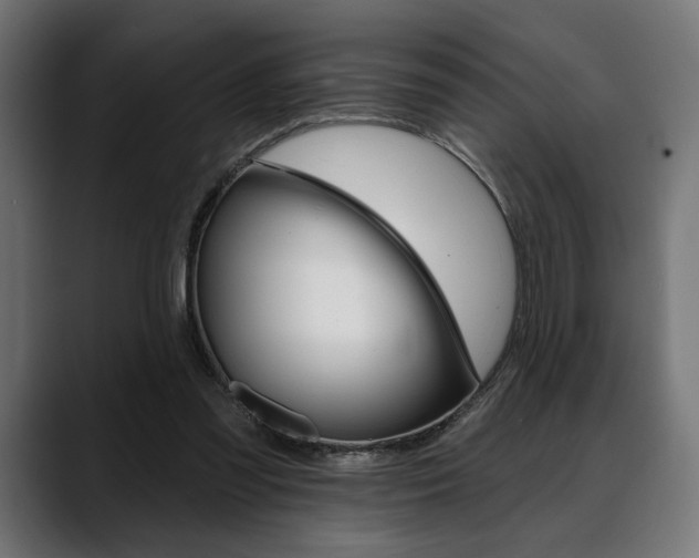X0000088630301200705250904