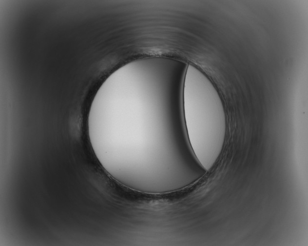 X0000088630304200705250904