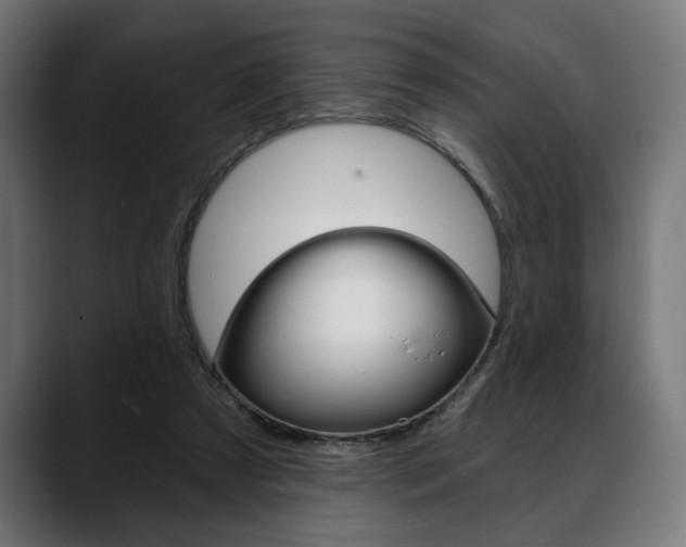 X0000088630305200705250904