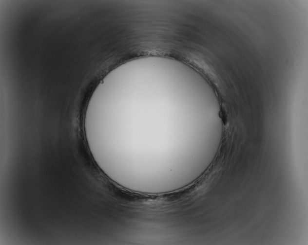 X0000088630306200705250904