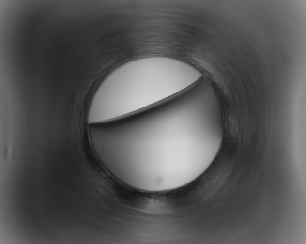 X0000088630308200705250904