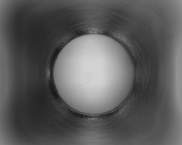 X0000088630310200705250903
