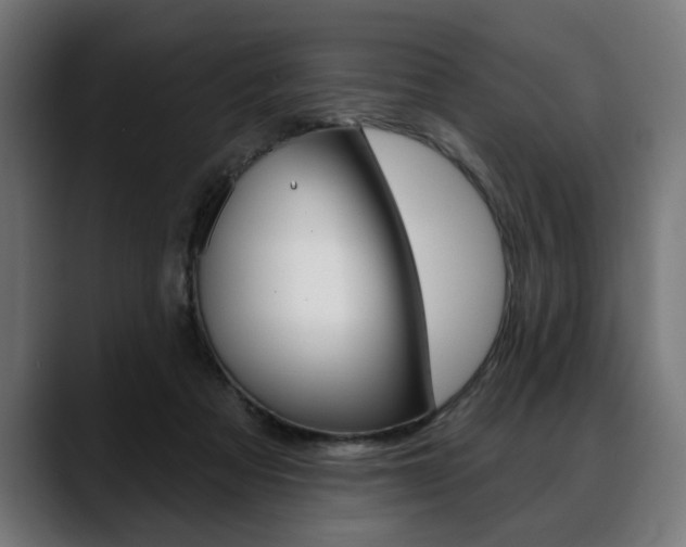 X0000088630313200705250903