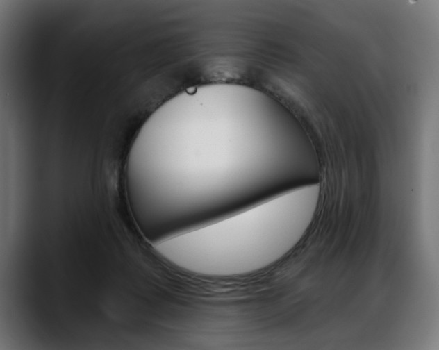 X0000088630315200705250903