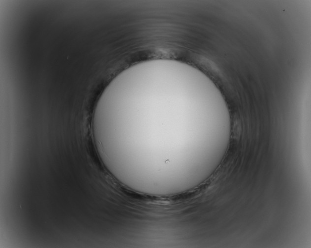 X0000088630318200705250903