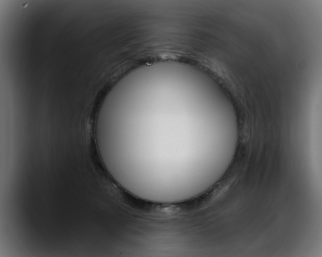 X0000088630321200705250903
