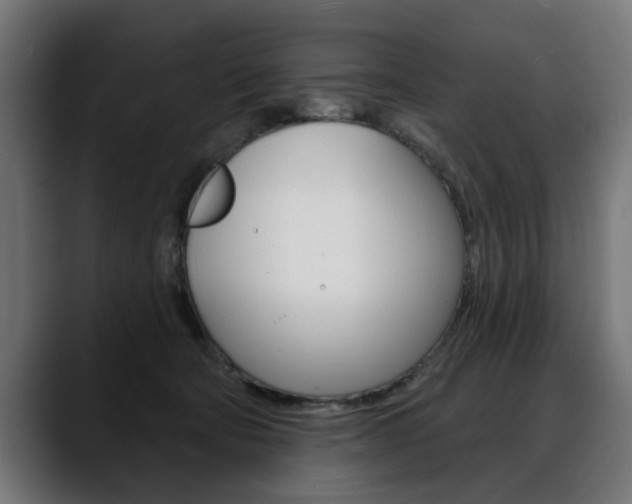 X0000088630322200705250903