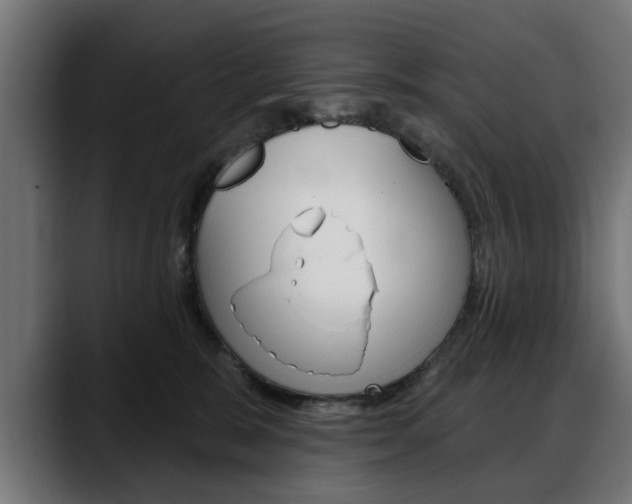 X0000088630327200705250903
