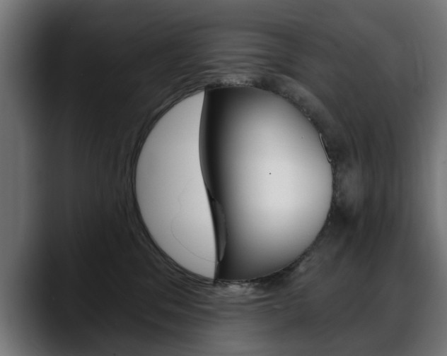 X0000088630329200705250903