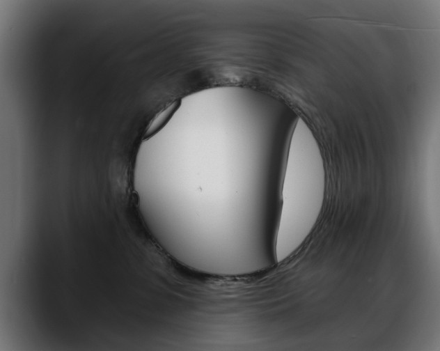 X0000088630331200705250903