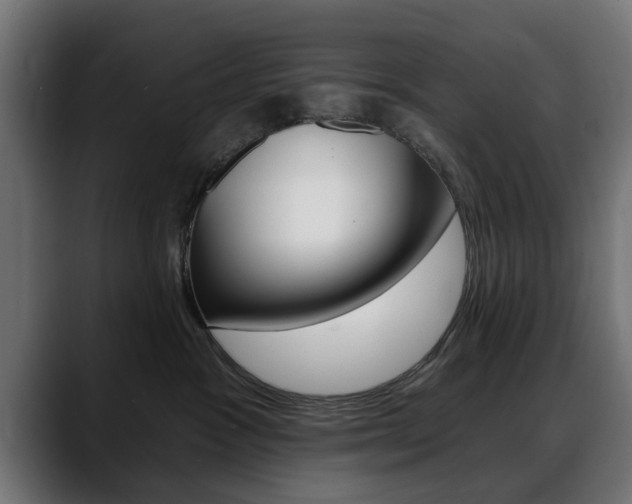 X0000088630333200705250903