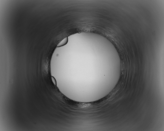 X0000088630334200705250903