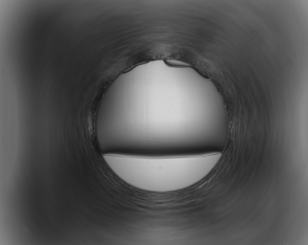 X0000088630335200705250903