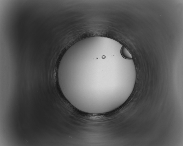X0000088630336200705250903